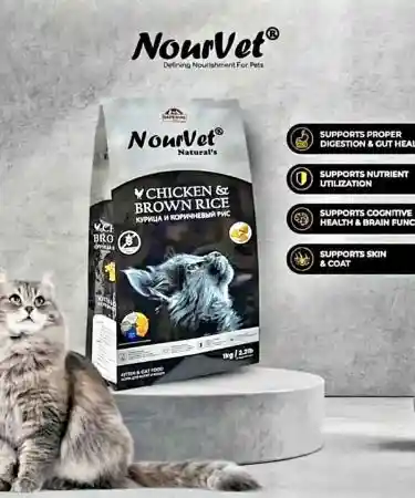 Nourvet Silver