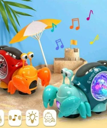 Adorable Hermit Crab Night Light with Music - Check on Delivery Available