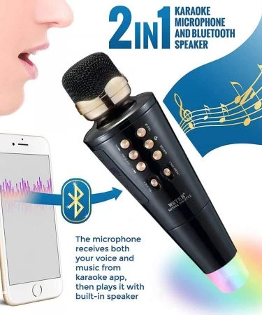 WSTER Karaoke Microphone & Speaker