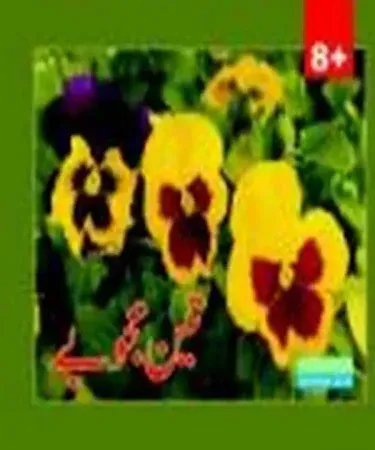 Teen Ajobay Urdu story book cover – colorful illustration for children aged 4‑12