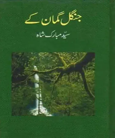 Chanbay Di Booti by Prof Muhammad Younas Hasrat, best-selling Urdu book cover, available at Khareedo with check on delivery Pakistan