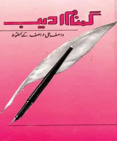 Gumnaam Adeeb By Wasif Ali Wasif Urdu hardcover book cover, a collection of spiritual letters by the renowned Sufi and writer, published by Kashif Publications.