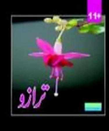 Traazo by Al Faisal Publisher Urdu children's story book cover for kids aged 4-12