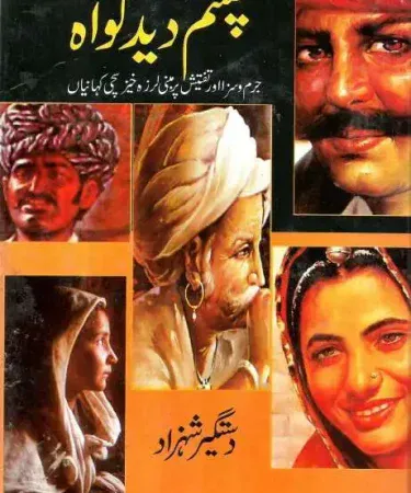 Chashm Deed Gawah by Dastgir Shahzad - Hardcover Urdu Short Stories Book by ilm o irfan - Front Cover
