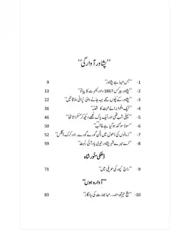 Peshawar Awargi book cover by Mustansar Hussain Tarar, featuring a depiction of Peshawar city or a travel-related scene, with the author's name prominently displayed.