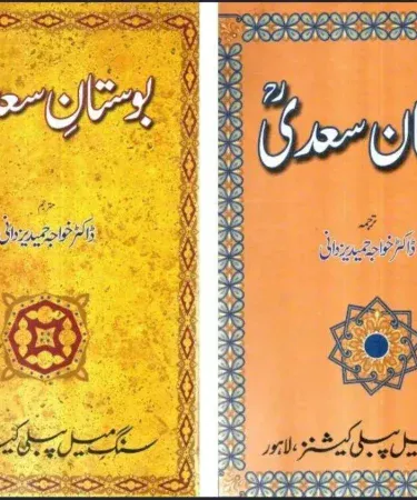 Hardback Gulistan E Saadi and Bostan E Saadi 2 books pack in Urdu by Sangmeel Publisher with 'Check on Delivery' service from Khareedo|Kharedo
