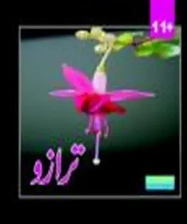 Traazo by Al Faisal Publisher Urdu children's story book cover for kids aged 4-12