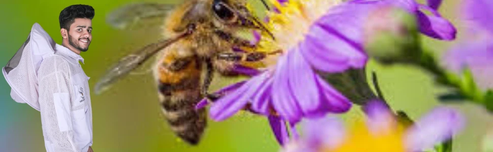 3 Layers Ultra Breeze Ventilated Beekeeping Bee Suit for Unisex Beekeepers with Round / Fencing Veil Do you find it much time consuming to get in and out to find a full body Professional Beekeeper Suit for sale with fencing Veil for your upcoming beekeeping season? Beekeeper apparel helps professional beekeepers handle their bees safely without fear of getting stung. From coveralls to full protective suits, we have a large selection of protective apparel that is both comfortable and practical for all ages. Best Beekeeping Suit fully protect your body covering your head, shoulders, and knees. (Sorry about your toes, you still have to wear boots, sadly.) Whether you need the full protection of a suit or just your upper body we have you covered all. Toor Traders ultra breeze beekeeping suit offers a balance of protection from stings and ease of use. HIGH QUALITY MATERIAL USED FOR THE CONSTRUCTION OF CHEAP BEEKEEPER SUITS FOR SALE WITH FENCING VEIL: Especially, your comfort is our top priority. Consequently, we only use the highest quality fabric, 65% cotton and 35% polyester in our best beekeeper suit wasps. This is the optimal blend for maximum strength and durability designed by our experienced beekeepers altogether. ULTRA BREEZE FABRIC USED IN 3 LAYER VENTILATED BEEKEEPERS SUIT FOR SALE: All of our 3-layer Professional Beekeeper Suit consists of mesh fabrics which is woven in a special locking pattern. This bee keeper suite allows breezes in and sweat to evaporate out. Three intersecting layers of raised mesh fabric sit high and away from the skin, helping to prevent bee stings and perfect for warm condition. 1ST LAYER OF BEST BEEKEEPING SUITS: In our honey bee suite we have used just enough polyester to be kind to the bees preventing tiny legs get caught in lose fibers, and enough cotton to keep it natural and breathable. The mesh has tiny holes that even the smallest of stinging insects can’t get through into but are large enough to allow for ample air to gently flow through the suit, keeping you fresh. 2ND LAYER OF ULTRABREEZE BEE SUIT FOR WASPS: Our bee keepers suit provides a good 4-5 mm gap between the other two layer of rubberized netting, creating that all essential distance between you and the bee. As a bee’s stinger only protrudes 1.5 – 3mm, so the bee sting can’t reach you. This finely woven netting mesh beekeeper suits also improves the air flow of the bees suit, helping to keep you cool. 3RD LAYER OF BEST BEE SUIT PROTECTION: The third layer of bee keeping suit is another layer of ploy-cotton, giving the bee protection suit a durable lining that will last many years with vigorous wear. We double stitch the 3-layers together that makes a very tough sealed unit for your protection. DISTINCTIVE AND INCOMPARABLE FEATURES COMBINED WITHIN BEEKEEPING SUITE: With smoker, hive tool and other tools in hand, we approach our beehive excitedly, eager to find out what wondrous things our bees have been doing. But before we do so there is one more important thing we need to do – protect ourselves from those same pesky bees by wearing our best ventilated apiary bee keeping suits which features: 6 BIG HIVE TOOL POCKETS: It has the 6 multiple & practical tool pockets with the following distribution: Two Welt Pockets on Chest Side Two patch pockets on waist length Two Tool Pockets on Arms Basically, we have designed these double stitched pockets for carrying handy items such as beehive tools, bee brush, keys and other wasps beekeeper stuff necessaries. REMOVABLE / DETACHABLE ROUND VEIL HOOD: Bee Keeper hat and face covering with zipper design which provide great all-round visibility and you can also take the hat off while you are at rest, cool, and relax. Make sure that veil doesn’t stick to your face, otherwise bee can bite you. This bee proof suit offers the below mentioned protective features: Round veil provides a maximum spacious inside which allows maximum visibility. Double metal zippers throughout and extra Velcro attachment give extra strength to protective bee suit jacket. Self-supporting head cover contains soft steel rim that support and maintain its shape. Non-flammable and collapsible round veil protect your face from stings and flash. Reinforced extra thick collar of this mesh beekeeping suit offers protection in the most vulnerable areas of your neck and chest. The veil is widely used for gardening industry as well! ELASTICATED WAIST, ANKLES & WRISTS: Safety elastic on waist, ankles and Wrists creates a secure fit to ensure that NO Bees Can Get In as it provides unprecedented protection in the most vulnerable areas, making you feel safe when attending your BEES. REINFORCED EXTRA THICK COLLAR: Reinforced extra thick collar offering extra protection for the most exposed parts of your body so that your neck won’t be get stung. It provides ample protection for beekeeping and most importantly make you feel safe when appearing before your BEES! HEAVY DUTY BRASS ZIPPERS: Our Bee Keeper’s full body suits and natural apiary bee jacket are fully equipped with long lasting and heavy-duty YKK zippers that smoothly works and allows you to easily take on and off while the large ring tabs are easy to pull even while wearing bulky gloves. TOP QUALITY WORKMANSHIP: Our products are handmade, one at a time by one craftsman with precision and attention to detail, unlike the mass chain production. Not opting for chain production means higher cost but a better quality that you will notice in our stitching. This professional bee suit will give you the victory look you love without compromising comfort and style. Our skilled tailors devote proper time and extra attention to each piece and finally make it sure to meet the perfection standards. FAIR PRICES – DIRECT TO YOU: Certainly, with our direct-to-consumer approach, our products come at ¼ the rates of what luxury brands sell them for. We keep our prices lower by cutting out middlemen, storefront costs and inefficient marketing spent. Additionally, being a manufacturer of bee protective suit, we offer most competitive and affordable prices. Your heard it right! Affordable prices! SIZE & CARE INSTRUCTIONSFOR STING PROOF BEEKEEPING SUIT: Generally, we have prepared the size chart of full beekeeping suit and veil as per the standard measurement. For an accurate complete size, please refer to our size chart provided in the picture. SIZE CHART OF STING PROOF PROFESSIONAL BEEKEEPER SUIT: All sizes i.e Small, Medium, Large, XL, 2XL, 3XL & 4XL are in inches. Kindly carefully check the attached size chart as our sizes may differ from your regular bee suit size. If you need help in choosing a size you may ask in contact us. If you wrongly order size, please tell us within 12 hours after order with your email address or order number. CARE INSTRUSTIONS: It is machine washable. 3 Layers Ultra Breeze Ventilated Beekeeping Bee Suit for Unisex Beekeepers with Round / Fencing Veil