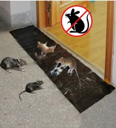 Rat Killing Magic Carpet 120x28cm clear invisible super sticky glue trap mat for mice, rats, and rodents control, shown unfolded.