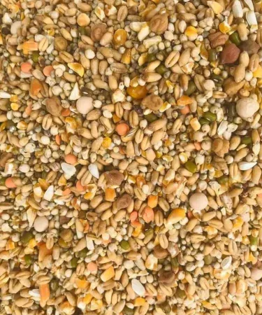 1 KG Ultimate Avian Mix Feed for Pigeons, Hens, Ducks, and Peacocks - Premium Bird Food for Optimal Health with Khareedo Check on Delivery