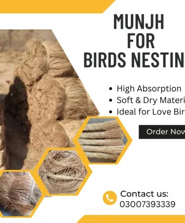 MUNJH bird nesting material 50g for Fischer Lutino Albino Lovebirds and Parrots, high absorption nesting grass for pet birds, natural bird breeding material in Pakistan.