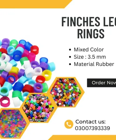 10pcs colorful finch leg bands, bird rings for finches, canaries, and gouldian birds, avian identification bands, pet bird accessories