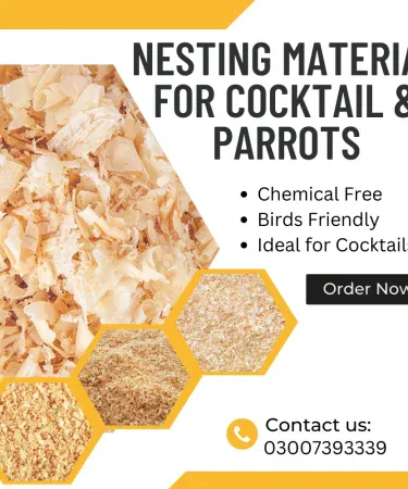 Nature's Nest Premium Wood Shavings 200g for Bird Nesting, Cat Bedding, and Pet Comfort - Natural, Dust-Free, Chemical-Free Material for all Pets from Khareedo Pakistan