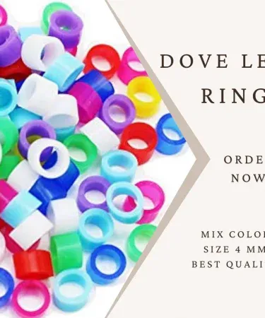 A set of 10 colorful, high-quality Diamond Dove and Finch leg bands in various vibrant shades, displayed neatly, ready for avian identification and style enhancement.