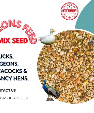 1 KG Ultimate Avian Mix Feed for Pigeons, Hens, Ducks, and Peacocks - Premium Bird Food for Optimal Health with Khareedo Check on Delivery