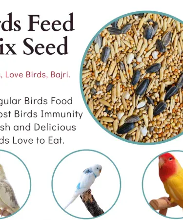 Premium Avian Delight 1 KG Mix Feed for Cockatiels, Budgies, Lovebirds - Nutritional Bird Food