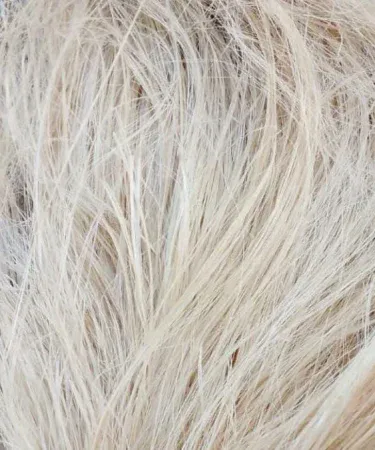 MUNJH bird nesting material 50g for Fischer Lutino Albino Lovebirds and Parrots, high absorption nesting grass for pet birds, natural bird breeding material in Pakistan.