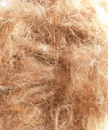 Birds Haven 150g premium coconut coir nesting material for lovebirds, finches, doves, and hens, eco-friendly bird bedding for comfortable nests