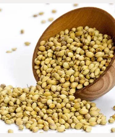 Close-up of premium Dhaniya (Coriander Seeds) in a bowl, showcasing 100% pure and natural whole desi masala with fresh aroma, ready for cooking.