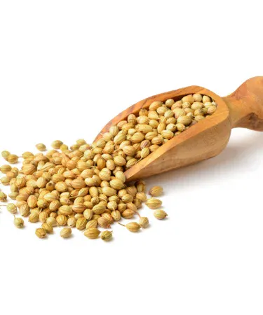 Close-up of premium Dhaniya (Coriander Seeds) in a bowl, showcasing 100% pure and natural whole desi masala with fresh aroma, ready for cooking.