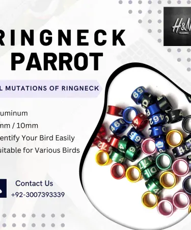 Vibrant green aluminum parrot leg rings 8mm 10mm bird identification bands pet accessories