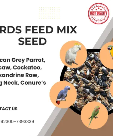 Premium Avian Delight Nutrient-Rich Parrot Mix Feed for African Grey Macaw Cockatoo Large Birds Khareedo Kharedo Check on Delivery