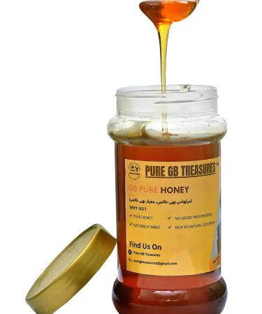 Pure-Gilgit-Baltistan-Organic-Honey-Jar-with-Wooden-Honey-Dipper**