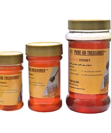 Pure-Gilgit-Baltistan-Organic-Honey-Jar-with-Wooden-Honey-Dipper**