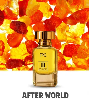 After World 50ml Eau De Parfum – Citrus Woody Unisex Perfume inspired by Thomas Kosmala No.4