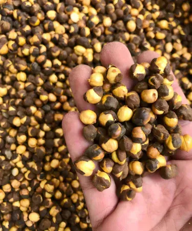 Roasted fresh chana 500 g good quality snack in a poly‑bag packaging, perfect for veg and vegan diets