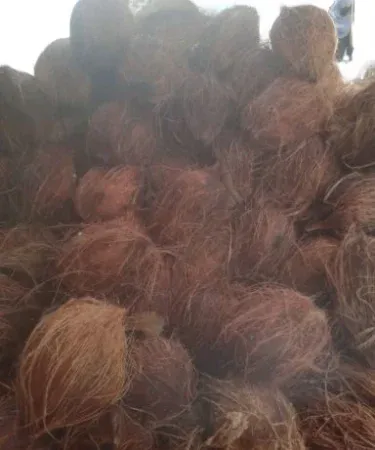 Fresh coconut kacha 900 g from Sri Lanka, imagecaption=Fresh Coconut Kacha 900 g – Premium Quality, Ready to Use,