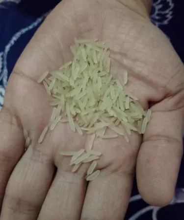 Premium Sella Rice Mulay Azam Export Quality 1kg packaging, imagecaption=Premium Sella Rice Mulay Azam Export Quality – 1kg pack,