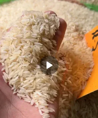 1 kg pack of premium white and yellow wild rice from Pakistan, imagecaption=Premium White/Yellow Wild Rice – 1 kg pack – Fresh and ready for cooking,