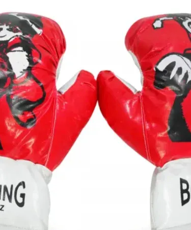 image-alttext-here , imagecaption= image-caption-here ,