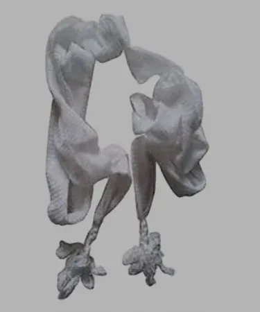 Zarban/Nara 2 pcs standard size cotton formal set for men, featuring a shirt and trousers, displayed on a white background,