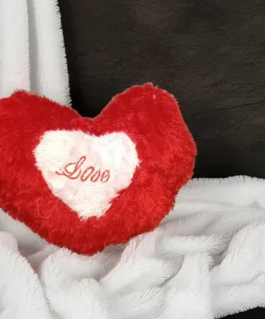 Love Heart Pillow – soft plush romantic cushion with embroidered “Love” text, perfect for home décor and gifts
