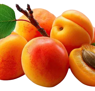 500 ml bottle of pure cold‑pressed Baltistan apricot oil from Pure GB Treasures, imagecaption=Pure GB Treasures Baltistan Apricot Oil – 500 ml, cold‑pressed, natural ,