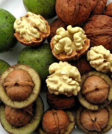 Premium fresh walnuts – raw, roasted, salted & organic varieties from Khareedo|Kharedo, imagecaption=Premium quality walnuts available for online purchase with Check on Delivery service.