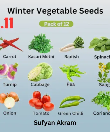Winter Vegetable seeds pack of 12 with free gifts – seed collection for home gardening, imagecaption=Winter Vegetable Seeds – Pack of 12 with Free Gifts – perfect for a bountiful winter harvest.