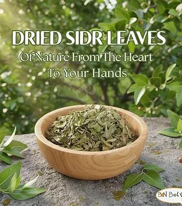 100% natural dried Sidr leaves powder for hair and skin, organic herbal remedy, hand‑picked from Khyber Pakhtunkhwa, Pakistan, imagecaption=Pure Sidr leaf powder – herbal hair & skin care solution, perfect for DIY masks and shampoos.