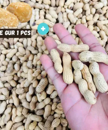 Fresh and Crunchy Moong Phali (Peanuts) 500g – Best Quality, premium roasted peanuts packaged by Khareedo & Kharedo