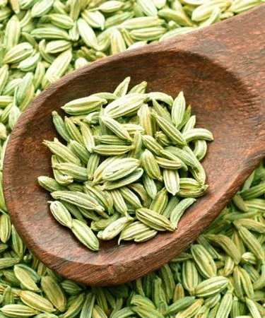 High Quality Sounf (Fennel Seeds) packed in airtight food‑grade bag – pure natural herbal spice for digestion and fresh breath