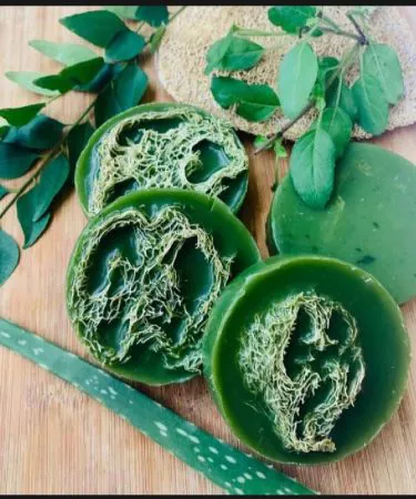 Loofah Organic Soap Bar – Refreshing Natural Exfoliant for Smooth Skin, handmade 100g organic loofah soap bar with natural fragrance, displayed on a bamboo tray with tropical leaves.