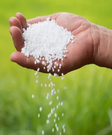 1 kg high‑quality Urea Fertilizer bag – water soluble, fast growth fertilizer for plants and gardening, imagecaption=Urea Fertilizer 1 kg – premium, water‑soluble fertilizer for all garden and agricultural needs,