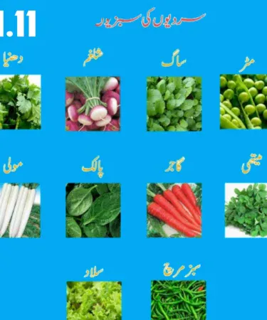 Kitchen Gardening Winter Vegetables Seeds 10 Packs with free gifts – assorted vegetable seed packets for home garden