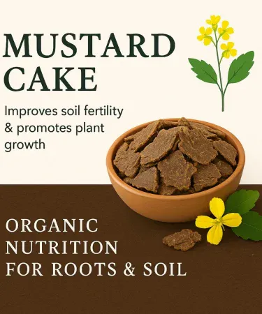 Organic Mustard Cake Fertilizer 1 kg packet – 100% organic, chemical‑free soil booster for garden and crops