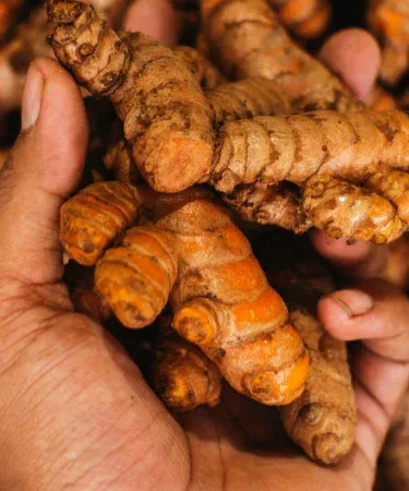 Pure Turmeric Root (Haldi) Whole Spice – 100% Natural Food Grade, Deep Yellow