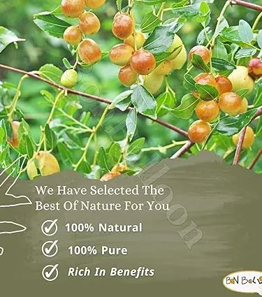 100% natural dried Sidr leaves powder for hair and skin, organic herbal remedy, hand‑picked from Khyber Pakhtunkhwa, Pakistan, imagecaption=Pure Sidr leaf powder – herbal hair & skin care solution, perfect for DIY masks and shampoos.