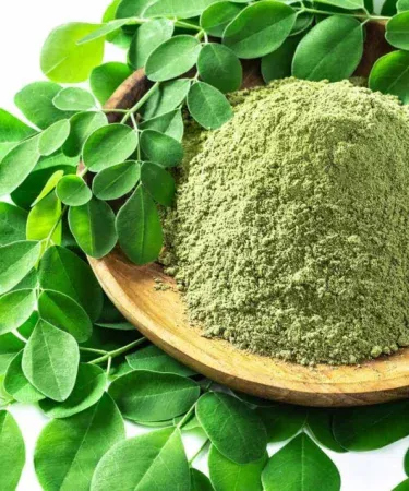 Pure organic Moringa Organic Refined Fresh Leaf Powder fine green powder in 500 g packaging, imagecaption=Pure Moringa leaf powder – a natural superfood for health, beauty, and energy.