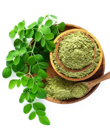 Pure organic Moringa Organic Refined Fresh Leaf Powder fine green powder in 500 g packaging, imagecaption=Pure Moringa leaf powder – a natural superfood for health, beauty, and energy.